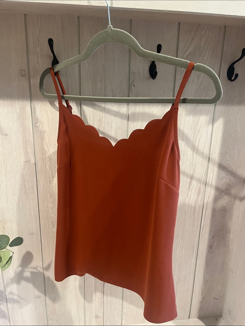 Ted Baker Scalloped-Neck Camisole